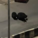 Screenshot_2025-11-26-06-44-53-17_99c04817c0de5652397fc8b56c3b3817